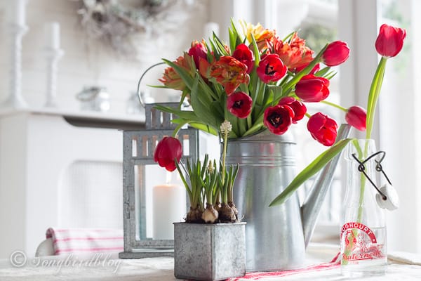 Frühlingsdeko mit Tulpen :)